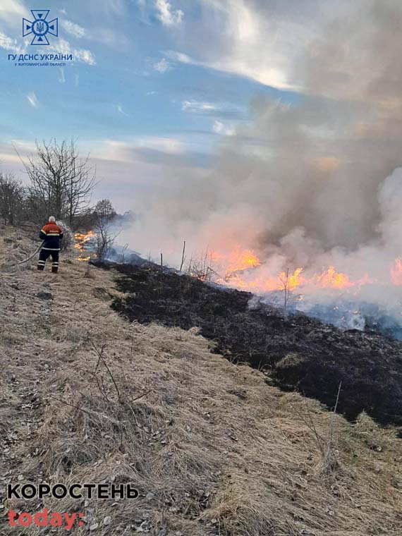 trava na cerkvy240323 kor 2 min