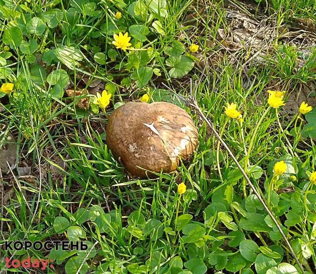 grubuobr 180423 kor 1 min