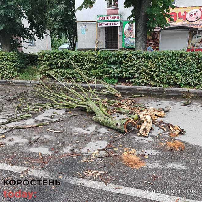 spartak vpalo derevo 3 min