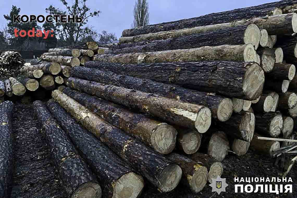 Поліція на Малинщині виявила понад 500 колод дерев без документів
