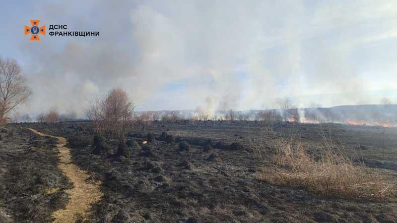 pozhzhi0703 4