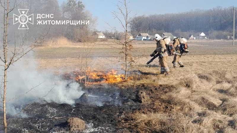 100pozhzhi080325 1