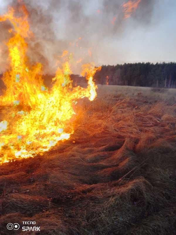 100pozhzhi080325 2