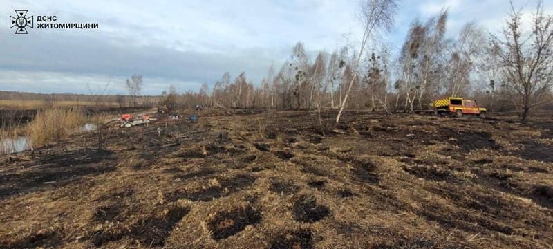 gortorf150325 1 min