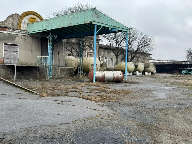 likzav200325 18