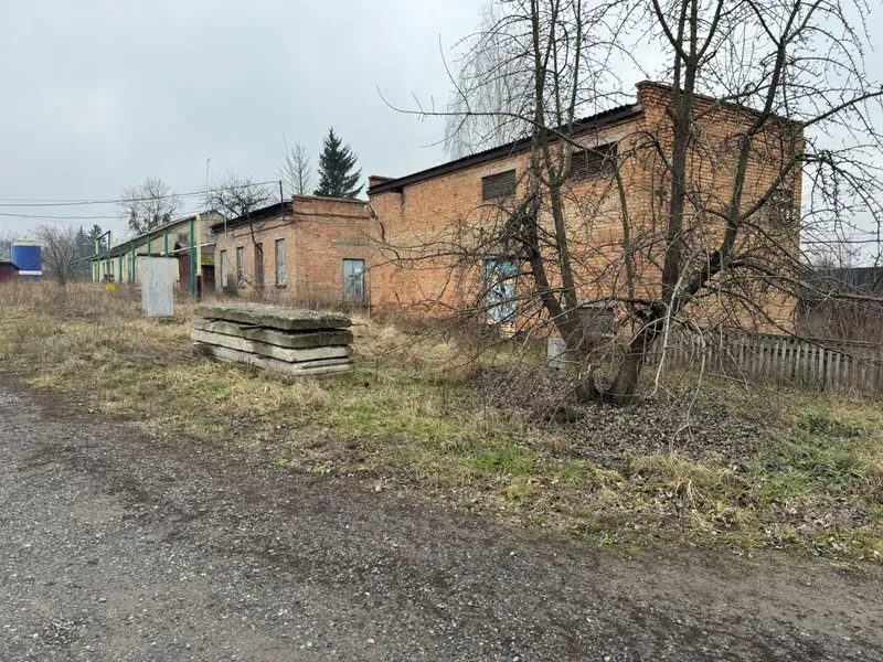 likzav200325 27