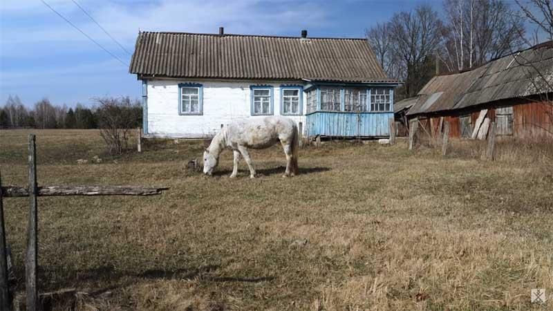 doslkor090525 7