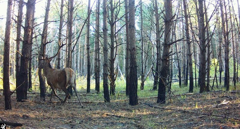 580051213 24919540901001999 9123308447692684015 n