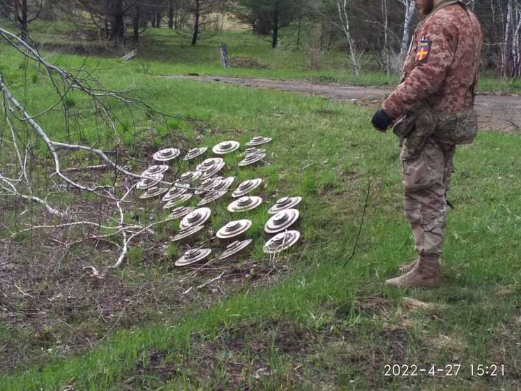 Zapovidnykvosenynarod kor020622 3