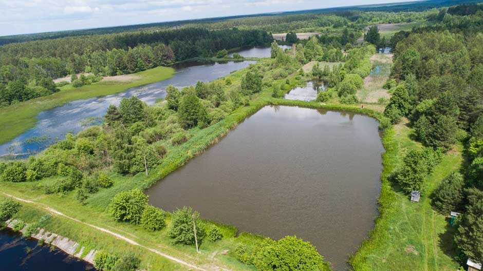 Zapovidnykvosenynarod kor020622 4