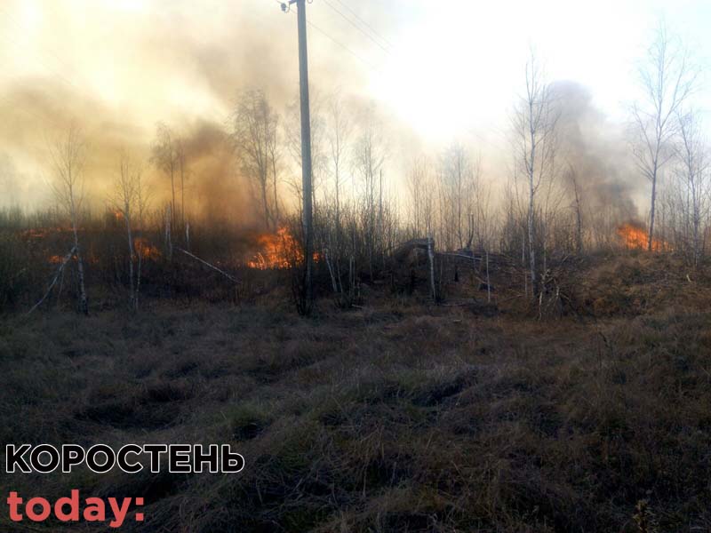 brov kor 11.04.20 3