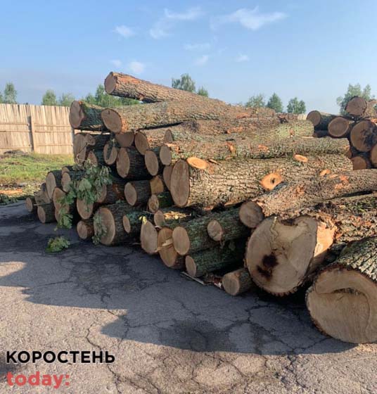 chorni lisorybu 290721 7