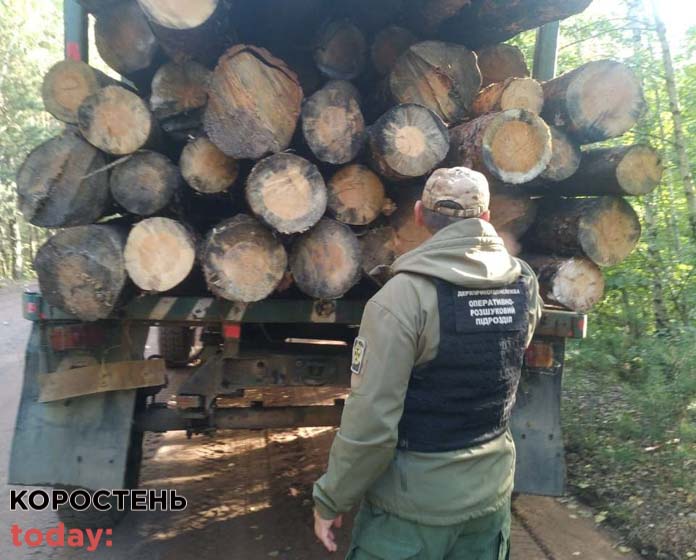 derovuna kordonovr030921 3