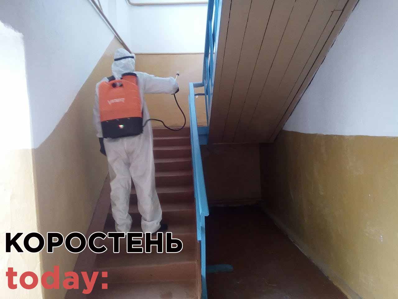 dezinfek diln kor 6