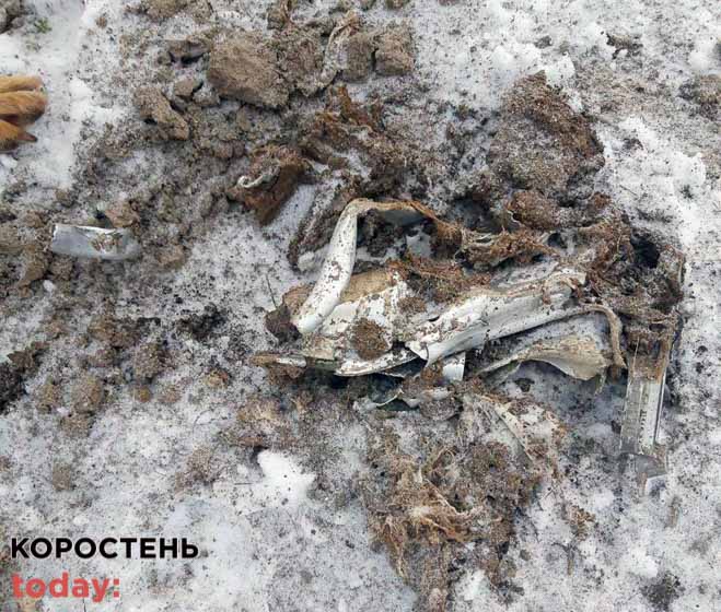dronzhi071222 kor 1
