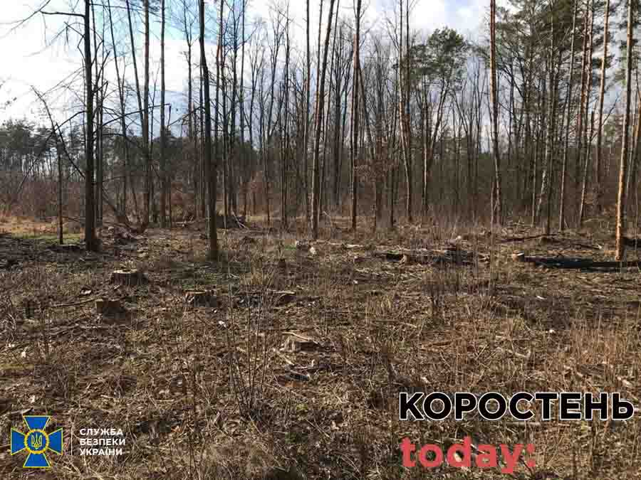 kor lis 0210 1