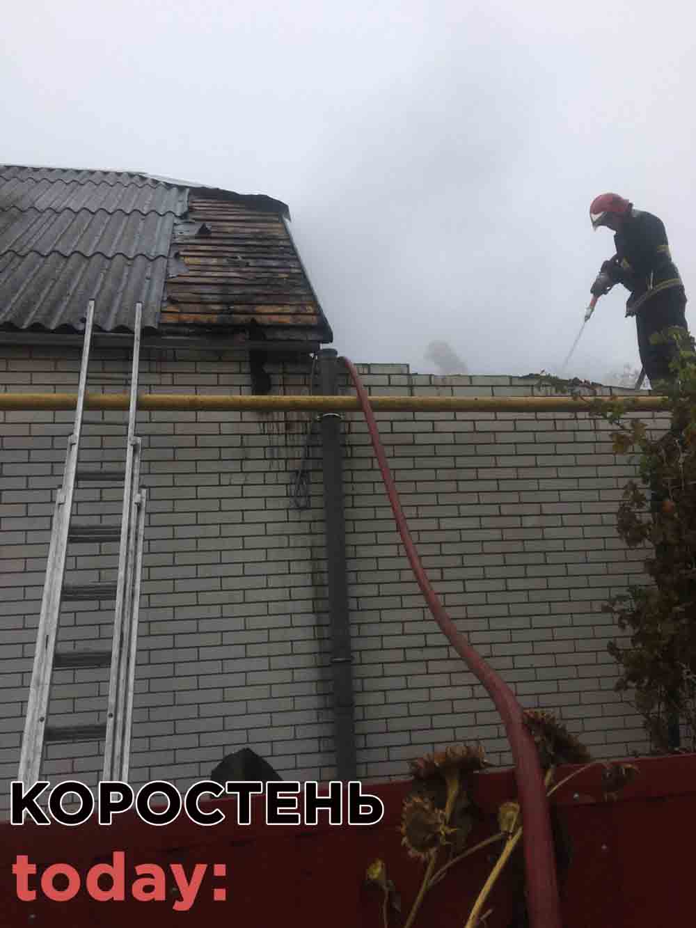 kor poshe 08 4