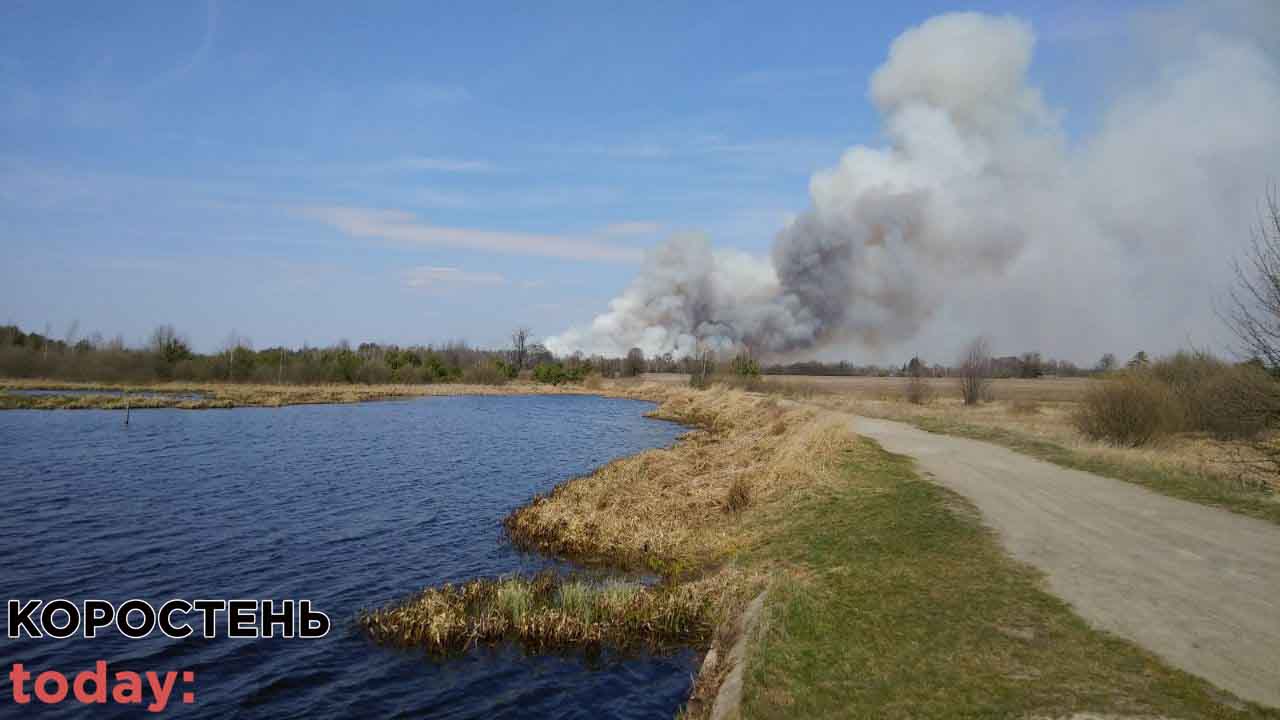 koros posh 14.04.20 2