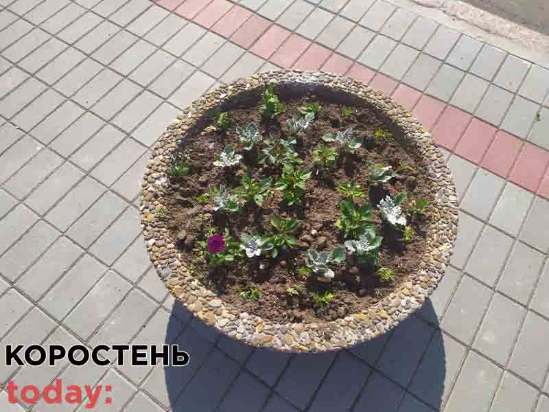 kradizhka centr 19.06 1