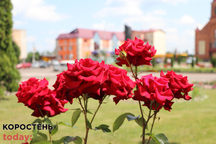 kvituolevsk010722 kor 0