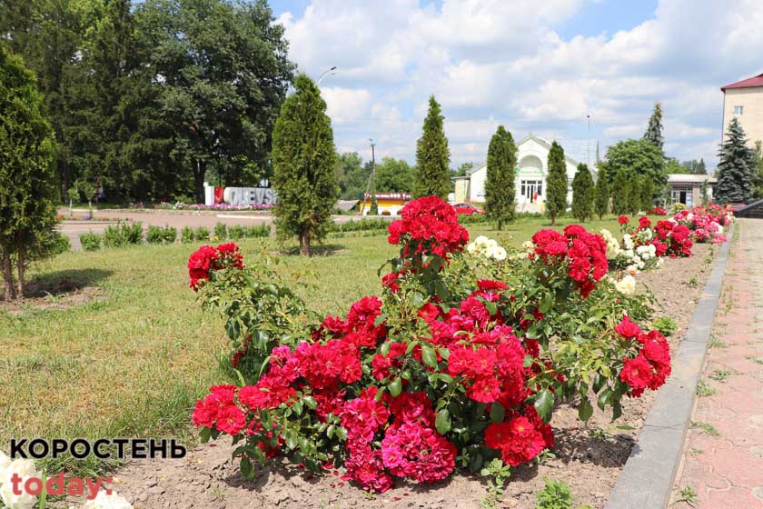 kvituolevsk010722 kor 20