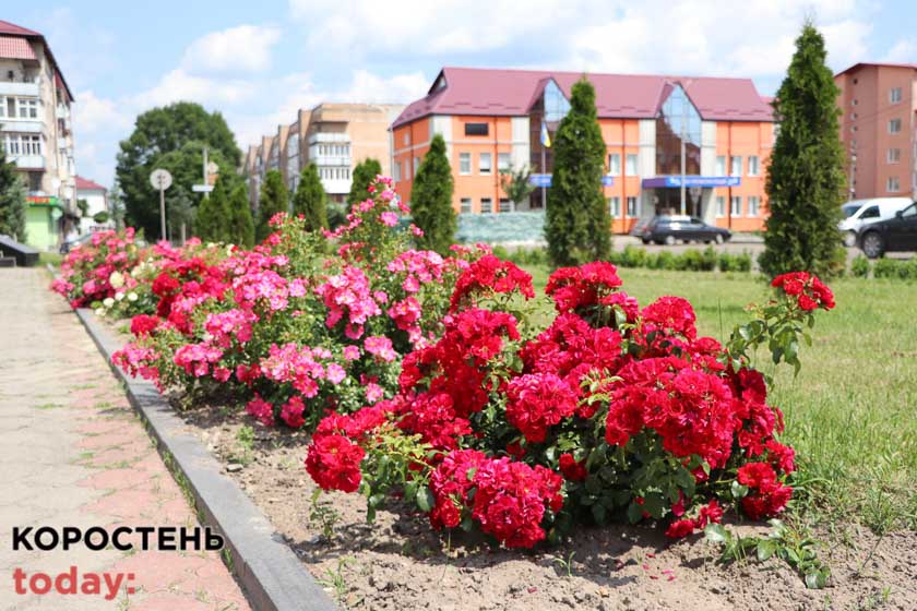 kvituolevsk010722 kor 3