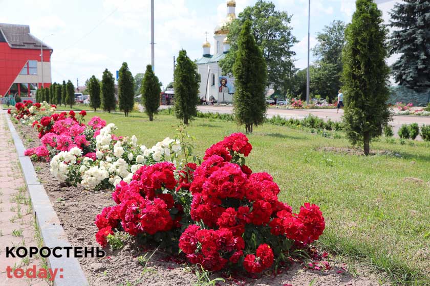 kvituolevsk010722 kor 4