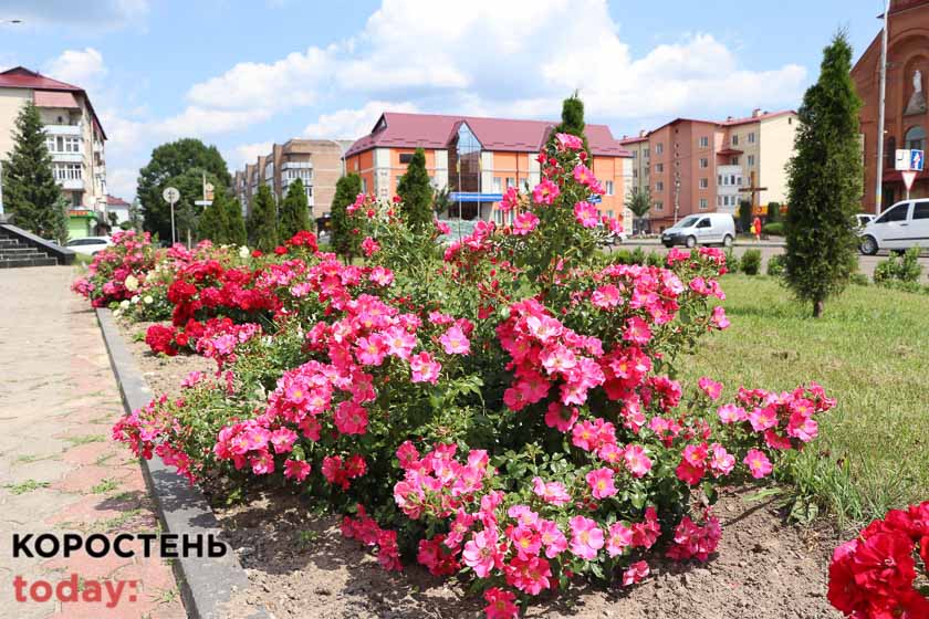 kvituolevsk010722 kor 8