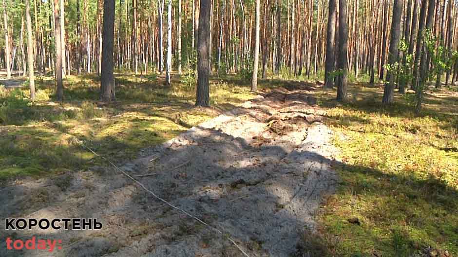 lisovnovrych 090921 6