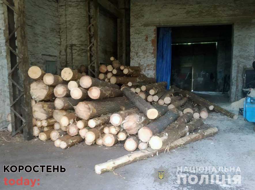 neleg derov 170621 2