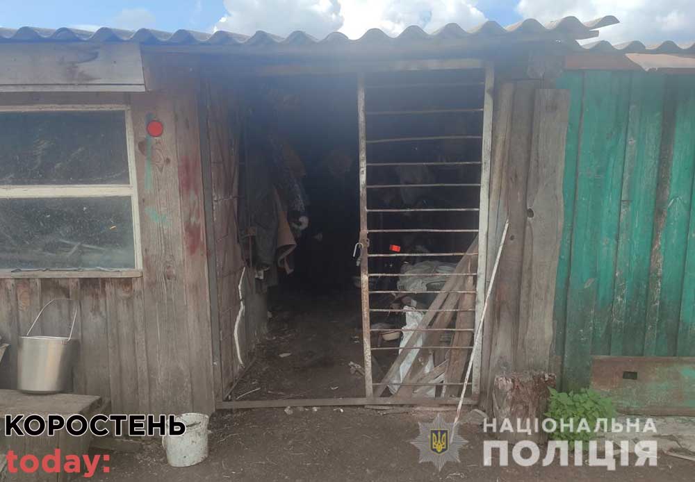 obikrav5obisc korray020921 1