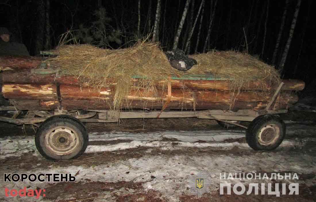 olevsk110222 kor lis 1