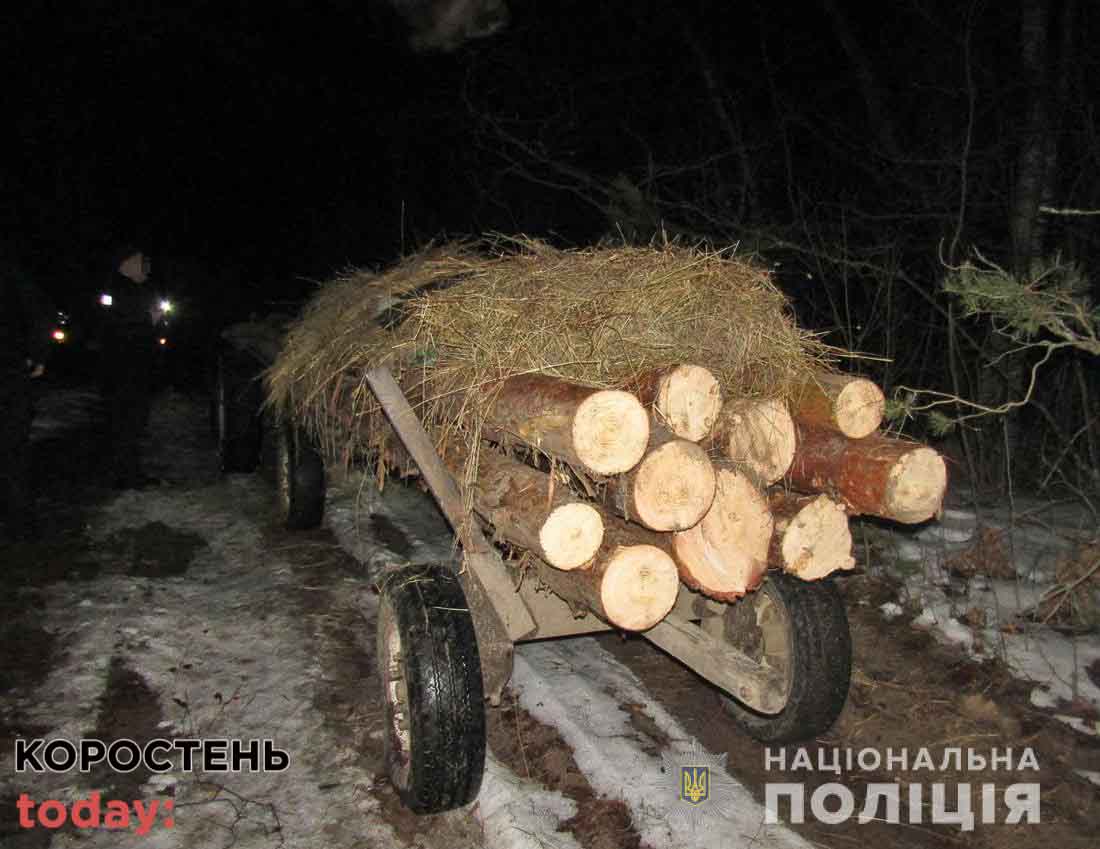 olevsk110222 kor lis 2