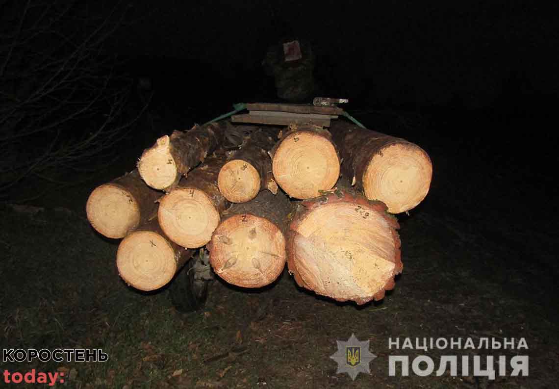 olevsk lis krum111121 1