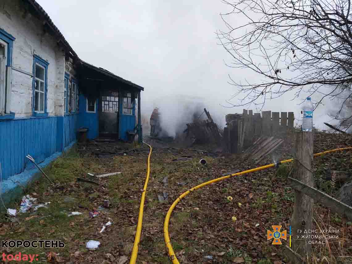 ovrpozh151121 korovr 1