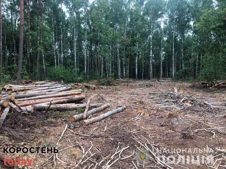 ovrych neleg derov210721 1