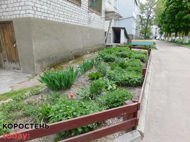 ovtych160522 kor 12