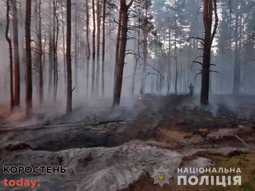 pidruv 050922 kor 1