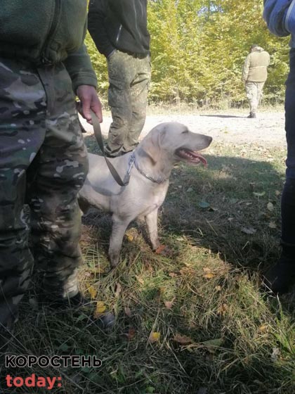 poshyk olevsk 071021 4