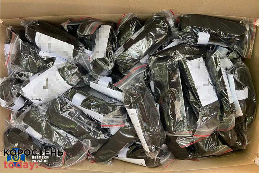 psevdo volon280622 kor 10