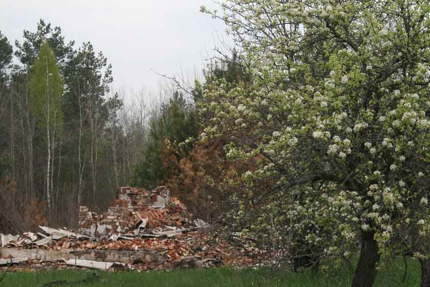 roztgelik090522kor 3