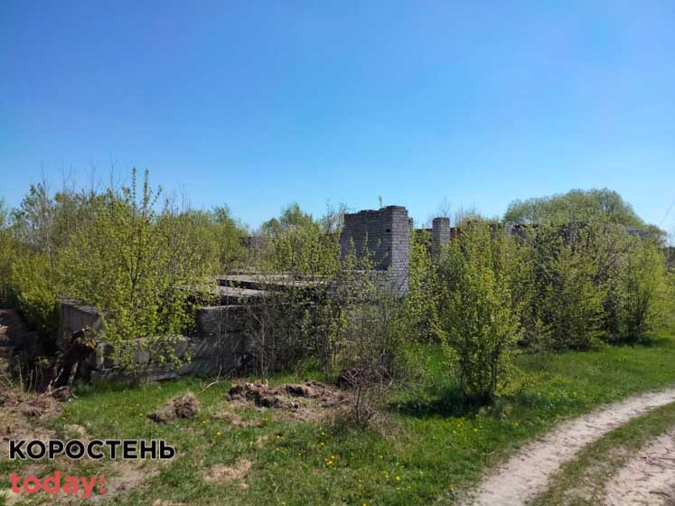 shkolaiambylatoriya 140521 10