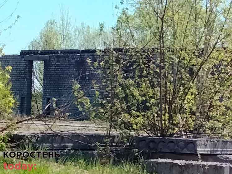 shkolaiambylatoriya 140521 11