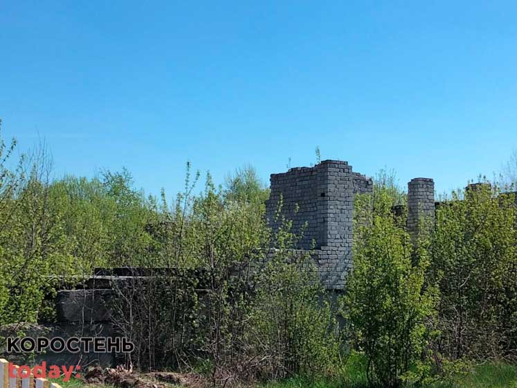 shkolaiambylatoriya 140521 12