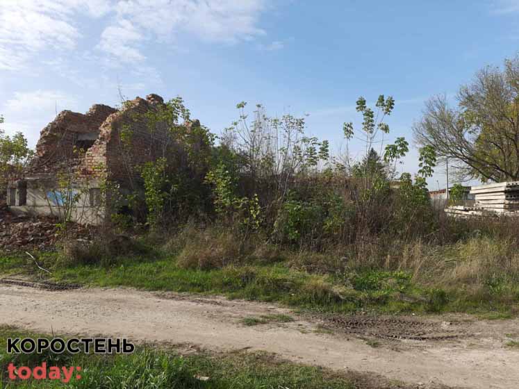 shkolaiambylatoriya 140521 3