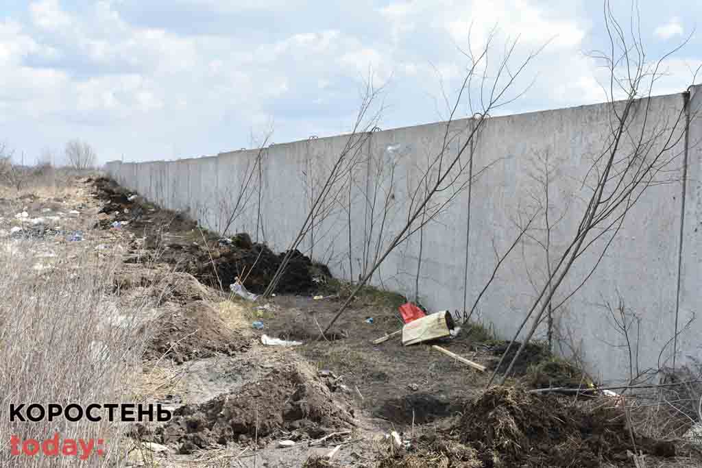 smitya dereva poligon 0804 7