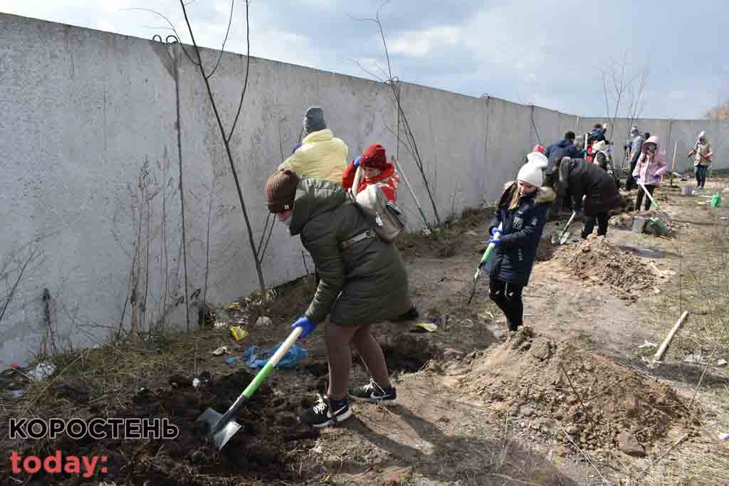 smitya dereva poligon 0804 8