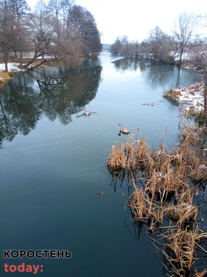 spasalu lebedya 051221 11