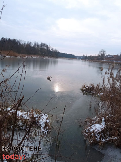 spasalu lebedya 051221 2