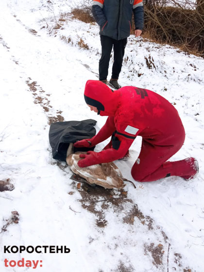 spasalu lebedya 051221 7